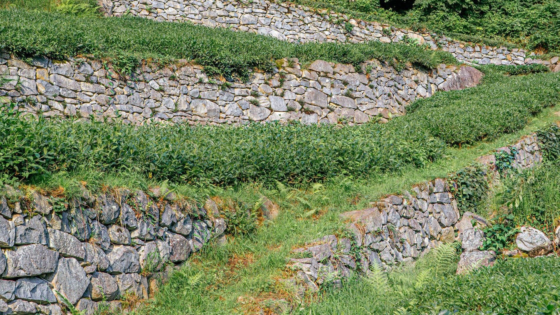 Retaining Walls: What Goes Behind the Block Matters Most